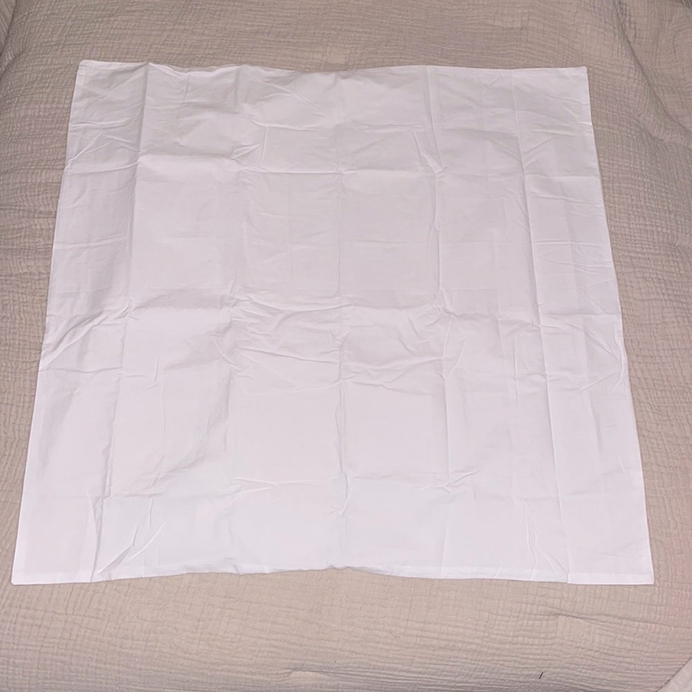 NWT Parachute Brushed Percale Euro Sham White/Ivory
